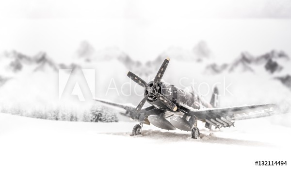 Picture of World war II military aircraft with heavy snowfall